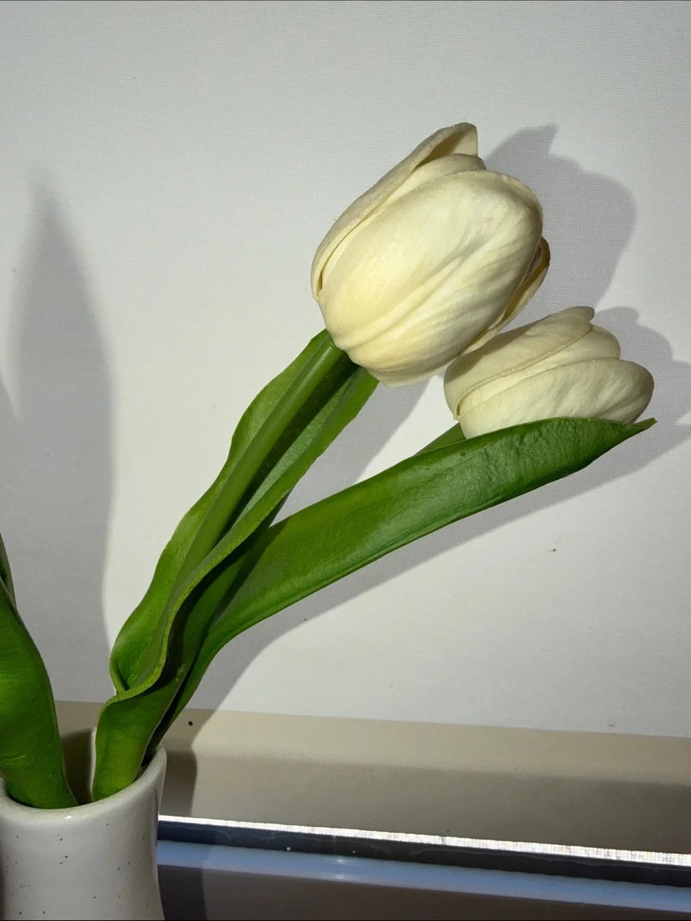 Vintage Jackson Hole Cream Ceramic Butterfly Vase with White Tulips